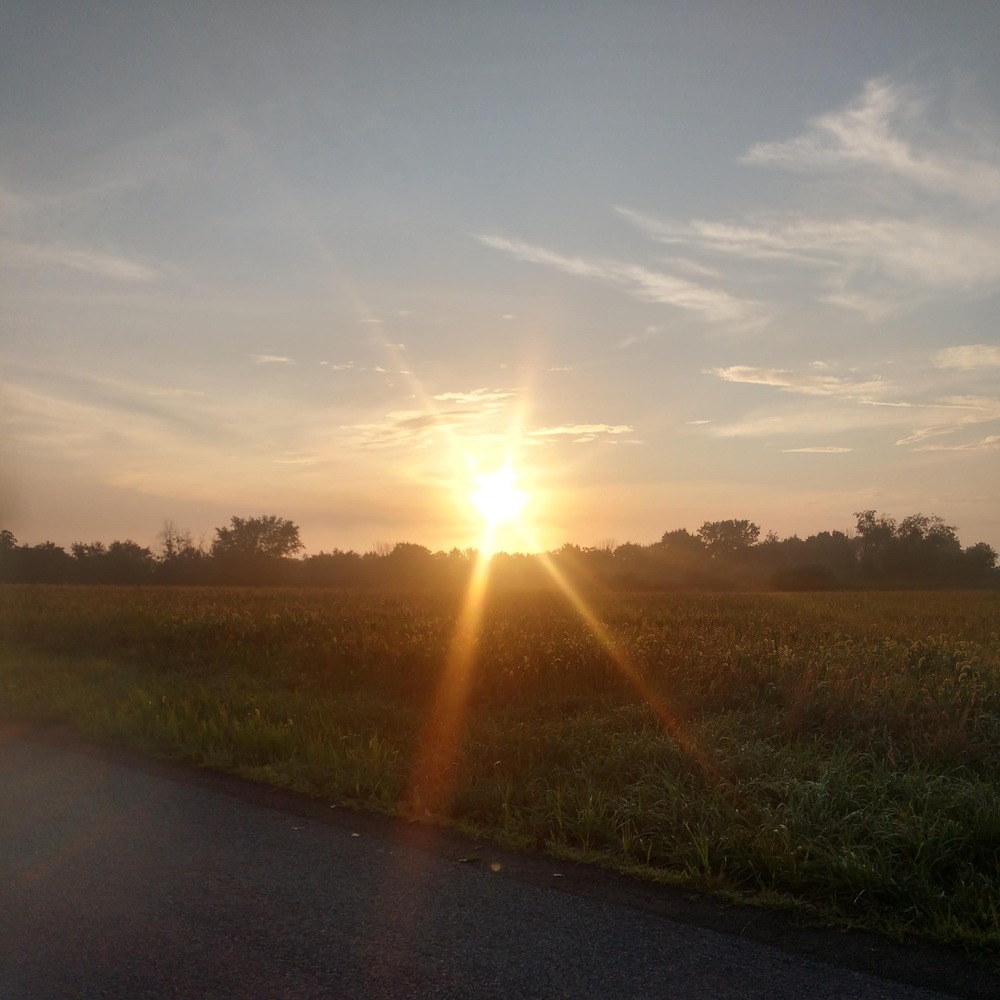 Meet your Posher, Valarie